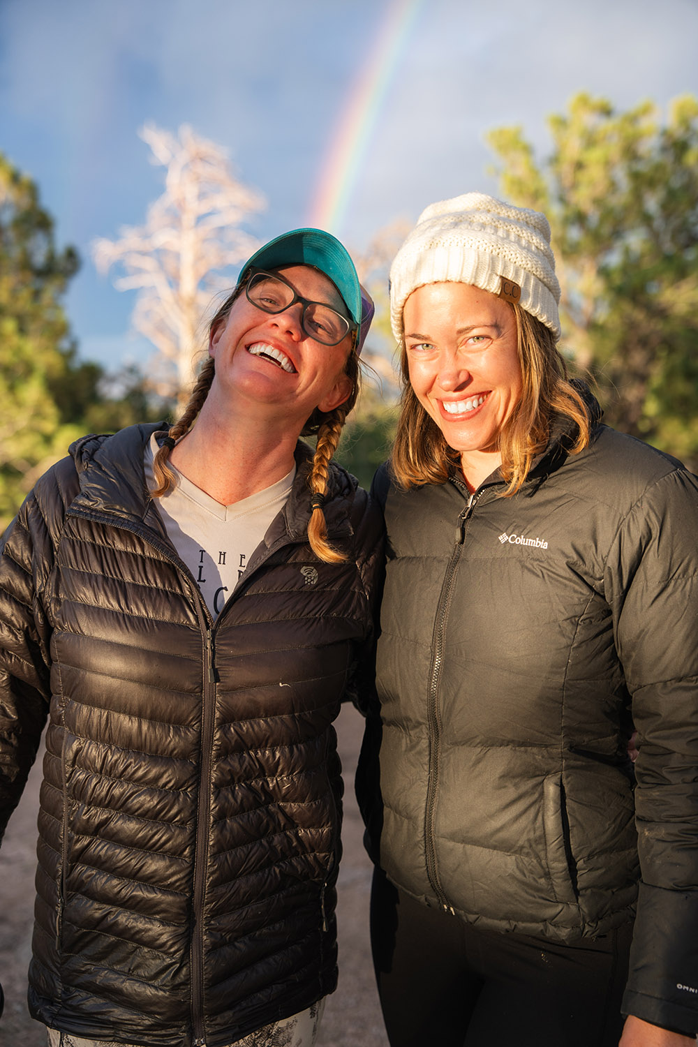 Collaborative Team Working Together