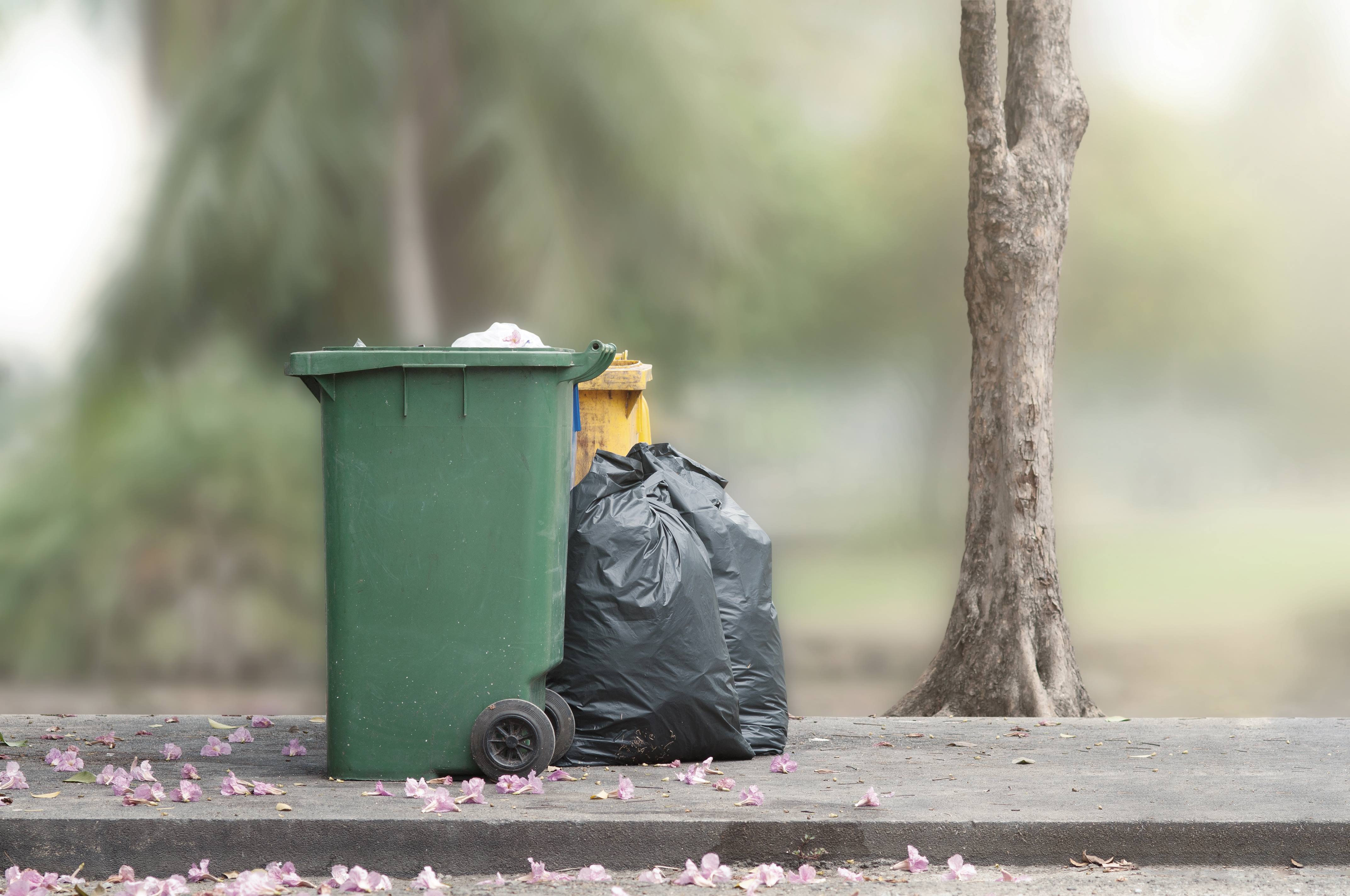 Solid Waste Services